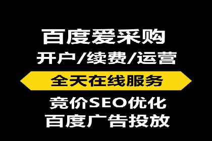 SEM托管案例分析：品牌如何快速崛起